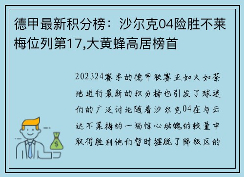 德甲最新积分榜：沙尔克04险胜不莱梅位列第17,大黄蜂高居榜首