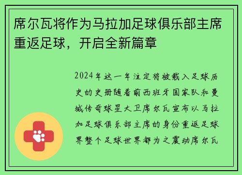 席尔瓦将作为马拉加足球俱乐部主席重返足球，开启全新篇章