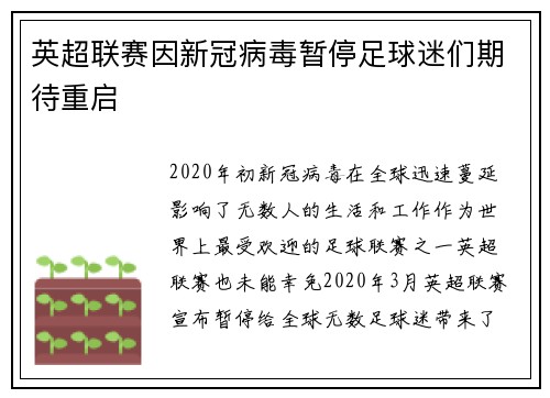 英超联赛因新冠病毒暂停足球迷们期待重启