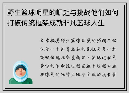 野生篮球明星的崛起与挑战他们如何打破传统框架成就非凡篮球人生